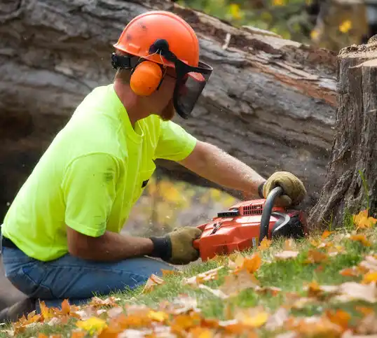 tree services Navesink